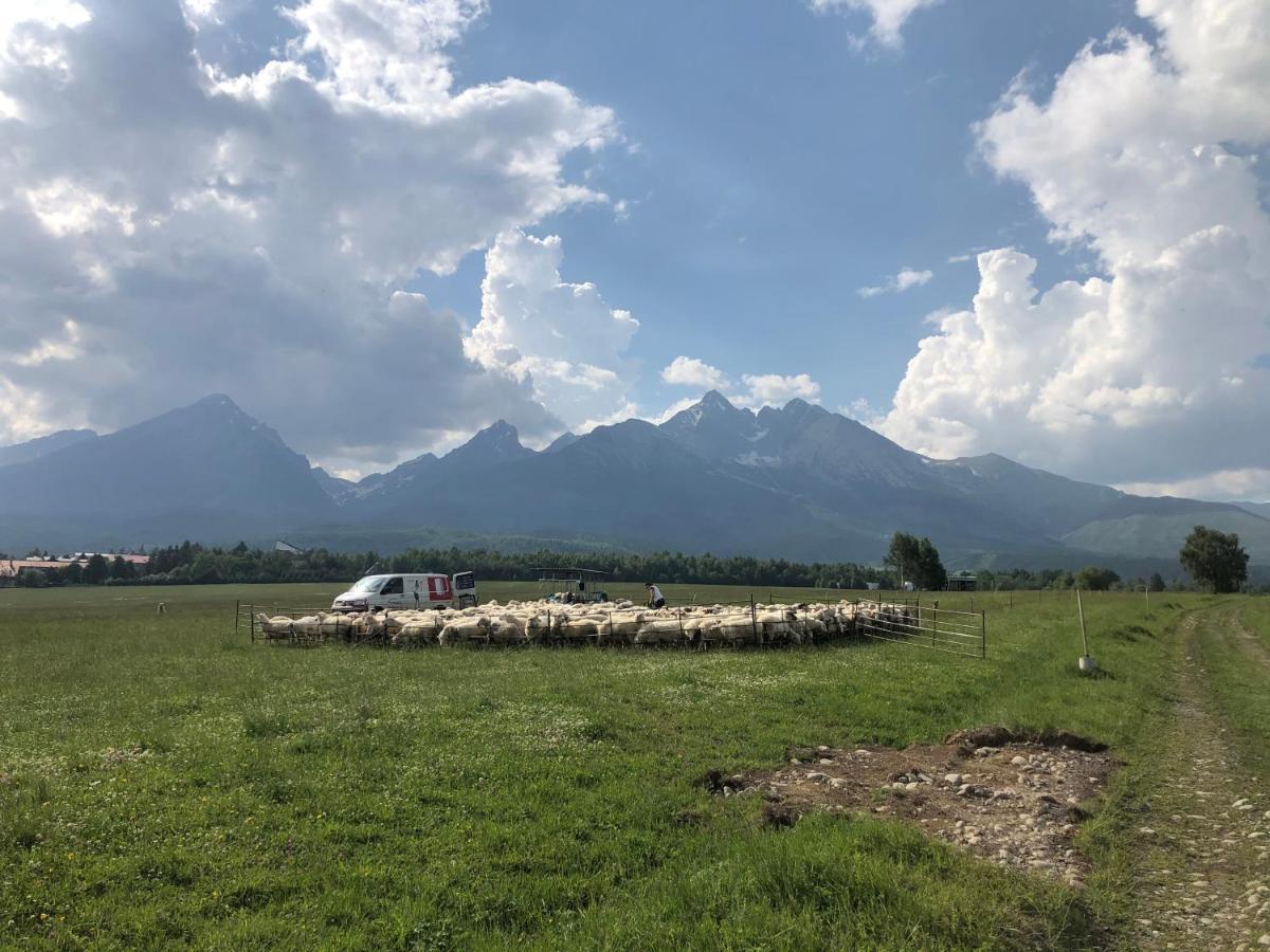 Penzion Bado Stará Lesná Buitenkant foto
