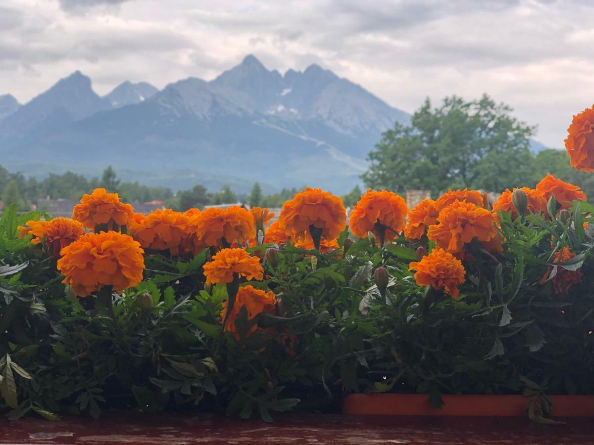 Penzion Bado Stará Lesná Buitenkant foto